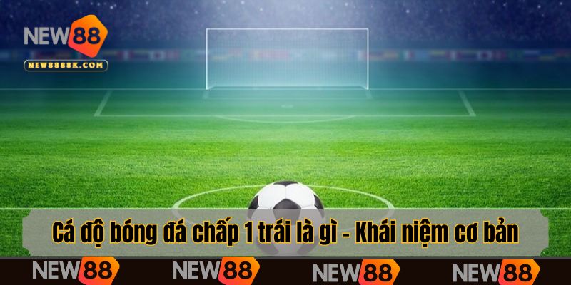 Cá độ bóng đá chấp 1 trái là gì - Khái niệm cơ bản