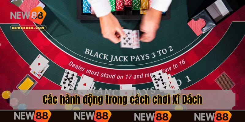 Các hành động trong cách chơi Xì Dách