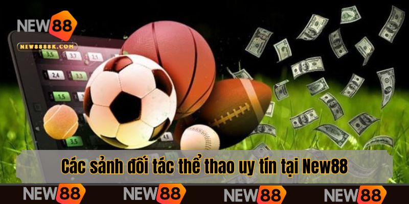 Các sảnh đối tác thể thao uy tín tại New88