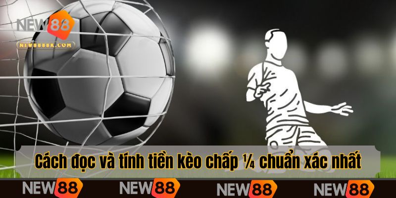 Cách đọc và tính tiền kèo chấp ¼ chuẩn xác nhất