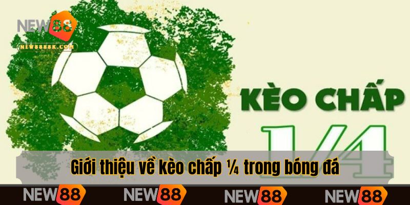 Giới thiệu về kèo chấp ¼ trong bóng đá