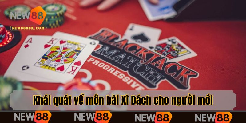 Khái quát về môn bài Xì Dách cho người mới