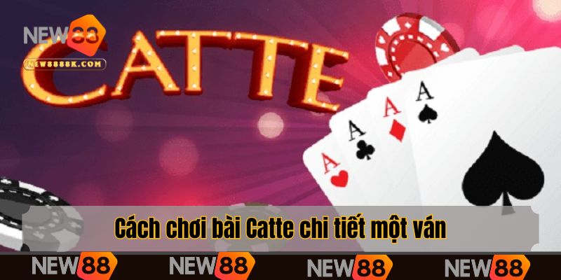 Cách chơi bài Catte chi tiết một ván