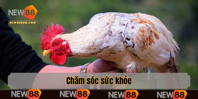 Chăm sóc sức khỏe