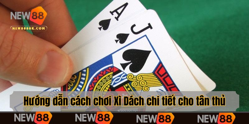 Hướng dẫn cách chơi Xì Dách chi tiết cho tân thủ