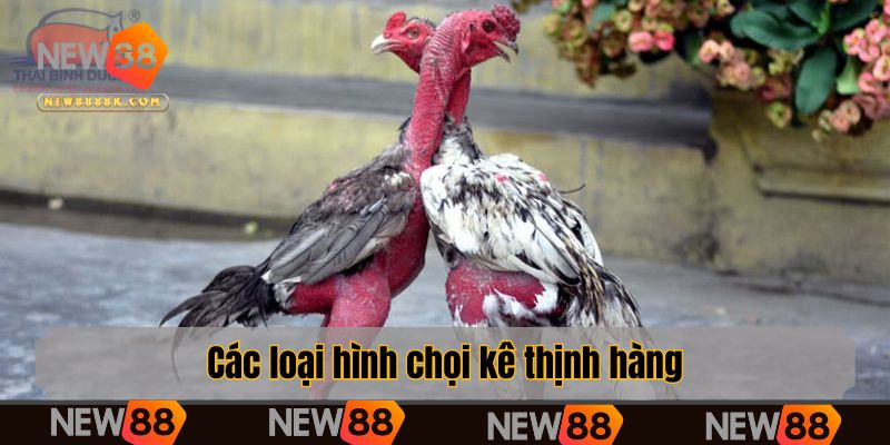 Các loại hình chọi kê thịnh hành