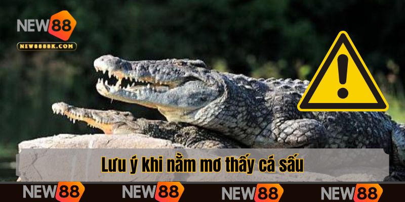 Lưu ý khi nằm mơ thấy cá sấu