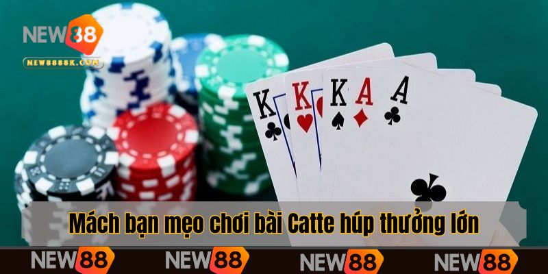 Mách bạn mẹo chơi bài Catte húp thưởng lớn