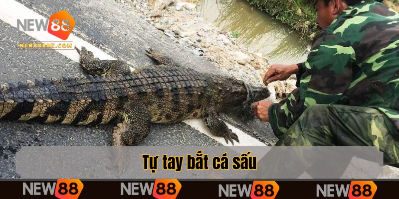 Tự tay bắt ngư