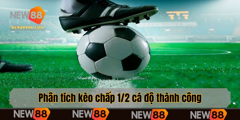 Phân tích kèo chấp 1/2 cá độ thành công