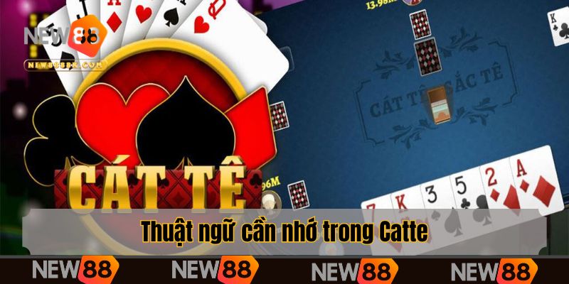 Thuật ngữ cần nhớ trong Catte