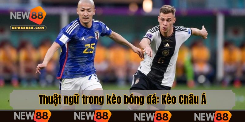 Thuật ngữ trong kèo bóng đá: Kèo Châu Á