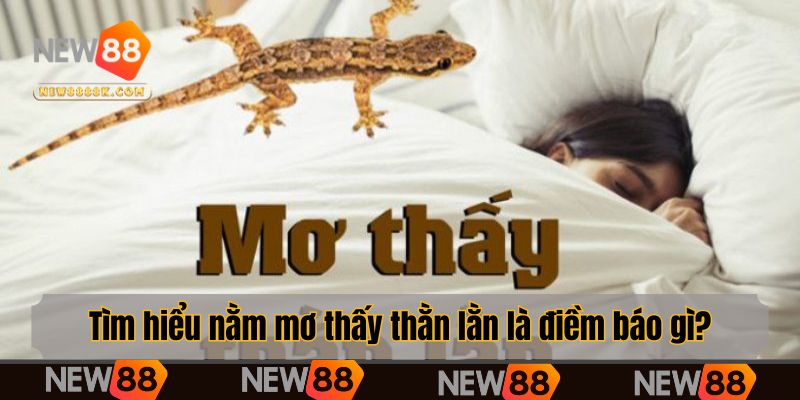Tìm hiểu nằm mơ thấy thằn lằn là điềm báo gì?