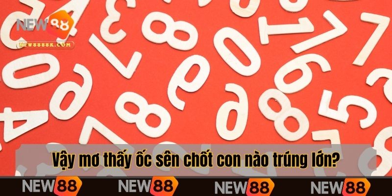Vậy mơ thấy ốc sên chốt con nào trúng lớn?