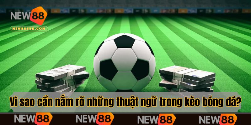 Vì sao cược thủ phải nắm rõ những thuật ngữ trong kèo bóng đá?