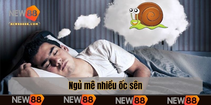 Ngủ mê nhiều ốc sên